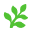 Fern SDK