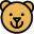 Focus Bear